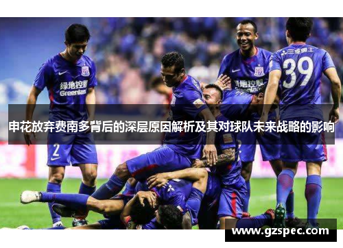 申花放弃费南多背后的深层原因解析及其对球队未来战略的影响